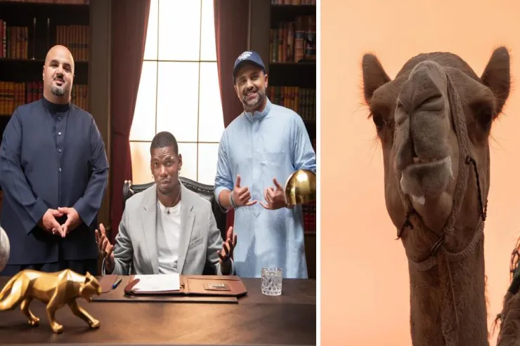 Poqba Səudiyyə Ərəbistanında dəvələri yarışdıracaq 