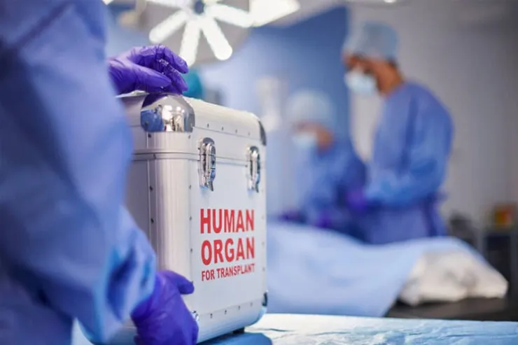 Orqan köçürülməsi ilə bitmir - transplantasiyadan sonrakı həyat - MÜSAHİBƏ 