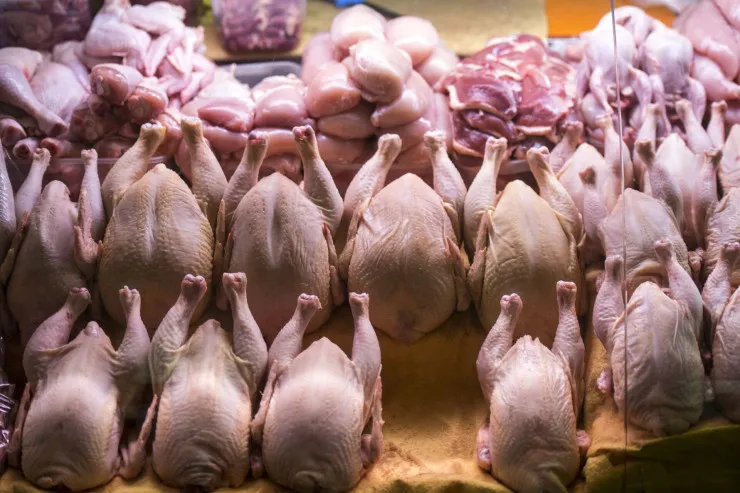 Azərbaycandan aparılan külli miqdarda toyuq əti məhv edildi 