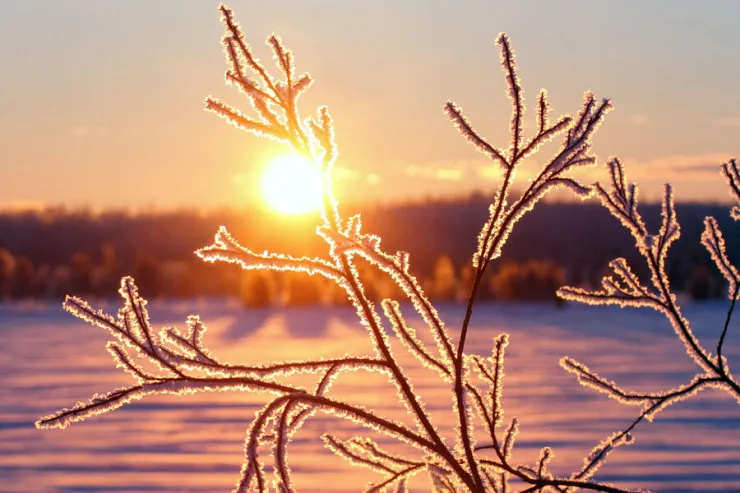 Bu şəhərdə sadəcə 18 dəqiqə  gündüz olacaq