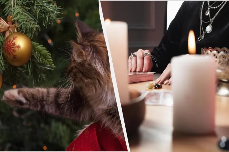 Yeni ildən əvvəl nədən qurtulmaq  lazımdır? - doğum tarixiniz sizə cavabı  deyəcək