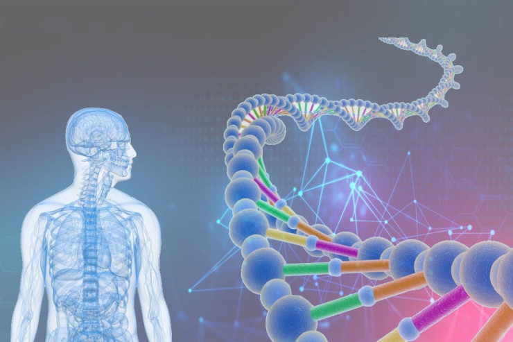 Genlərdən Kodlara:  DNA proqramlamanın gələcəyi