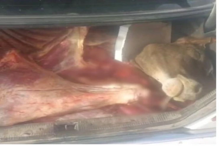 Əsgəranda avtomobildən 120 kilo yararsız ət tapıldı