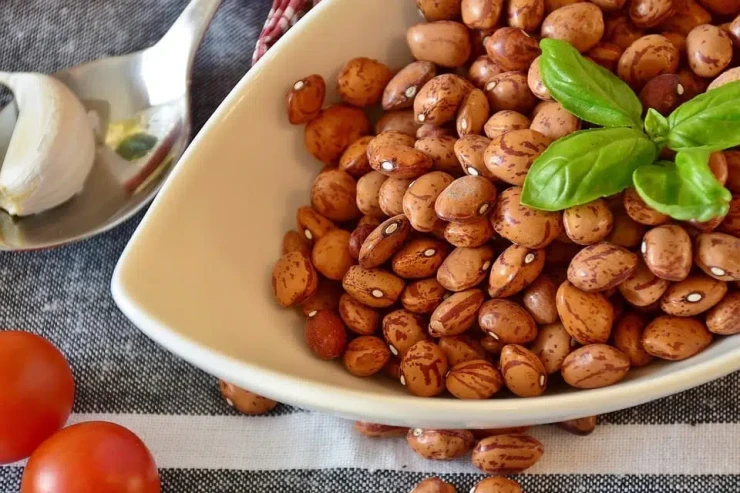 Zərərli hesab etdiyimiz, lakin ömrü uzadan QİDA 