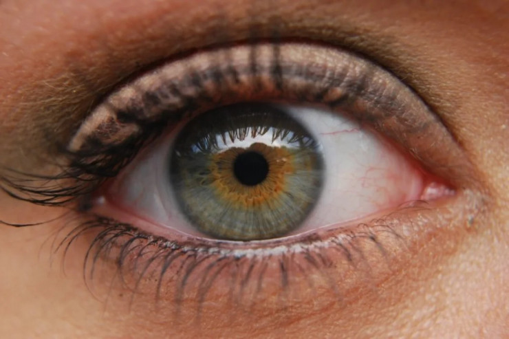 Vitamin əlavələri optik sinirin zədələnməsini  yavaşlada bilər