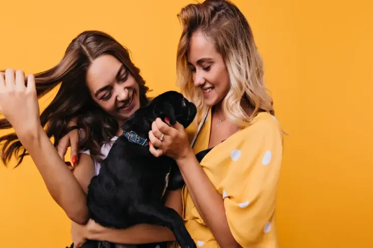 Bu həftə BÜRCLƏRİ nə gözləyir?  – Şansınızı qaçırmayın 