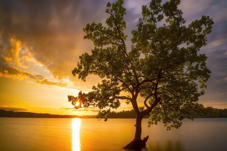 Noyabrda belə hava olmayıb  - Sabahın PROQNOZU 