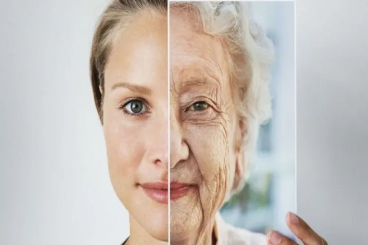 Alimlər həyatın hansı dövrlərində qocalmanın sürətləndiyini müəyyən etdi 