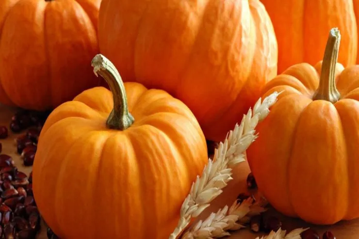 Balqabağı nəcə bişirmək olar? - 3 SİRR 