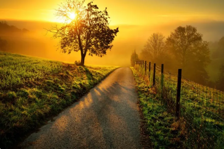 Sabah 20 dərəcədən çox isti  olacaq - hava PROQNOZU 