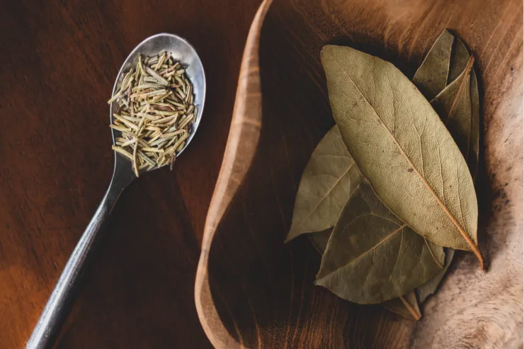 Çayınıza dəfnə yarpağı  əlavə edin: Faydalarına TƏƏCÜBLƏNƏCƏKSİNİZ 