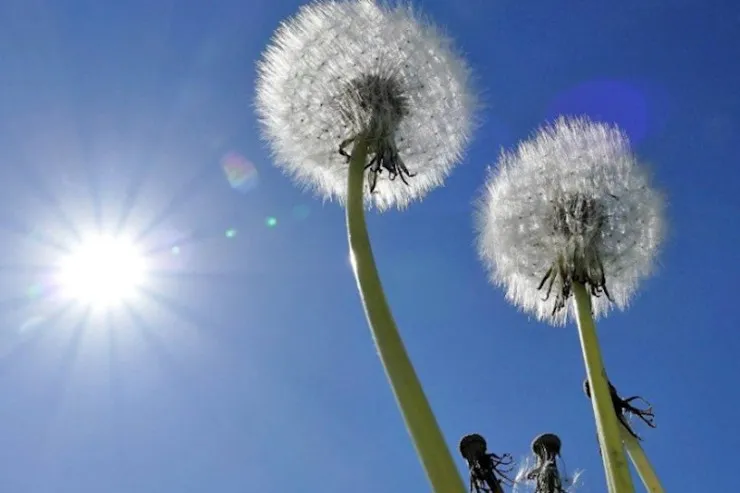 Sabah 20 dərəcədən çox  isti olacaq - PROQNOZ