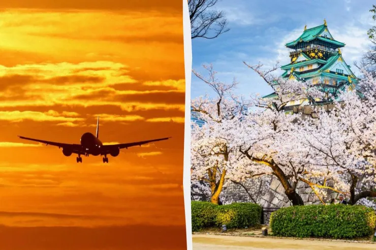 Bu turistlərə pulsuz təyyarə biletləri  təklif edilir