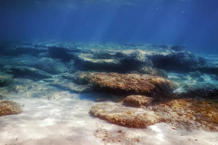 Okeanlar və dənizlər  kimə məxsusdur?