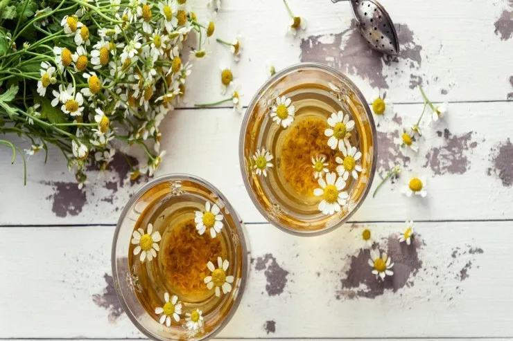 Çobanyastığı çayı təhlükəli  ola bilər: Hər kəsin bilmədiyi 5 əks təsir