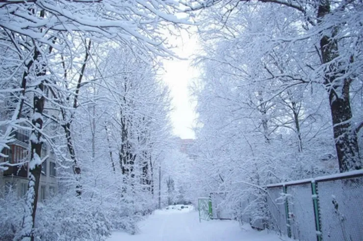 Hazırda bu rayonlara qar yağır   - FAKTİKİ HAVA