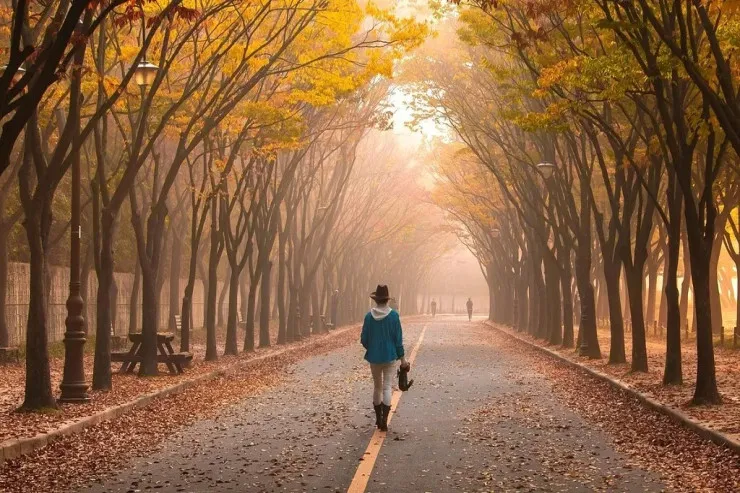 Noyabrda 25 dərəcə isti  olacaq - ayın hava PROQNOZU