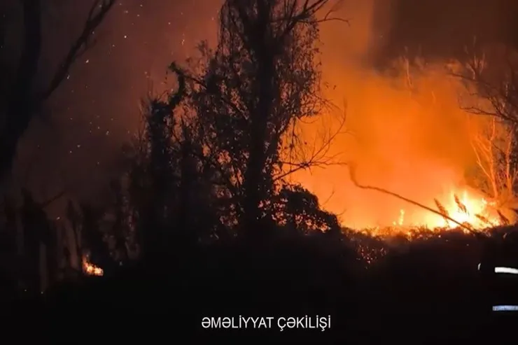 Qızılağac Milli Parkında YANĞIN - VİDEO 