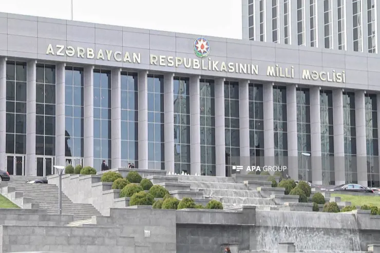 Milli Məclis Anım Günü ilə bağlı bəyanat yaydı - TAM MƏTN 