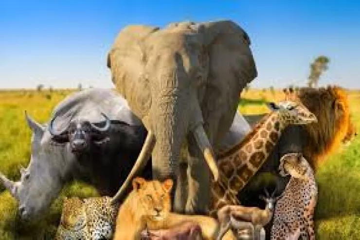 Quruda yaşayan ən yaşlı heyvan  - Qadın adını daşısa da, erkəkdir