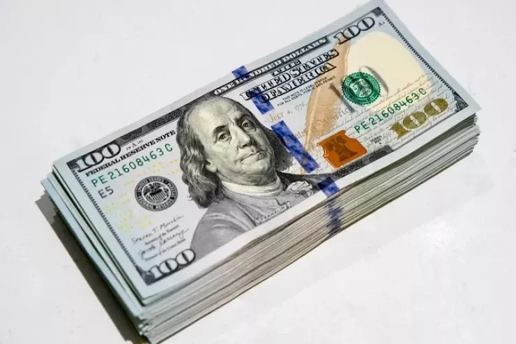 Anasının 40 min dollarını pəncərədən atdı 