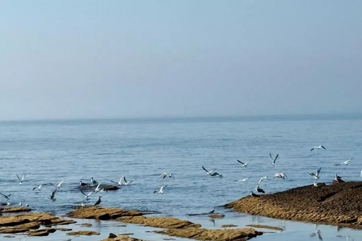 Xəzər dənizi yox olacaqmı?  - AÇIQLAMA