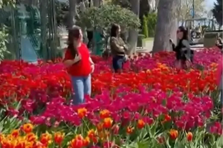 Bulvarda gülləri əzən 10 nəfər polisə çağırıldı 