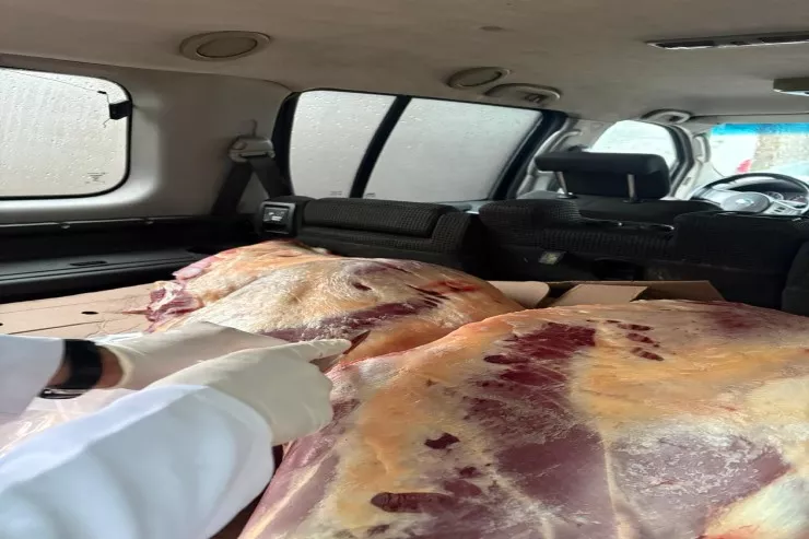 Azərbaycanda külli miqdarda at əti  aşkarlandı