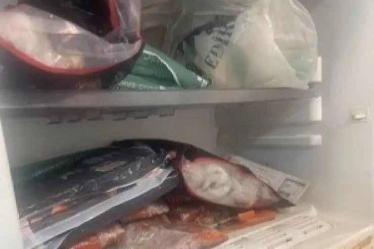 Bakıda çirk içində hazırlanan suşi - Cəzalandılar 