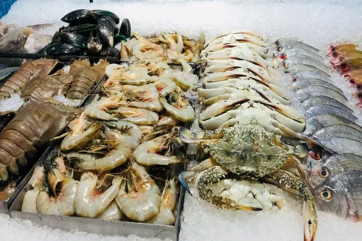 Çində təhlükəli yeni virus  aşkarlandı: digər ölkələr də risk altındadır 