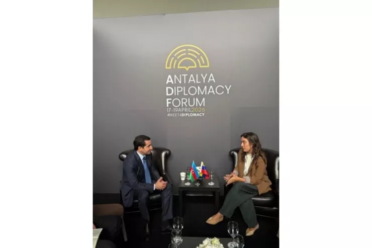 Hikmət Hacıyev  Venesuelanın xarici işlər nazirinin müavini ilə görüşdü