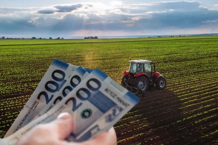 Bitkiçilik sahəsindəki subsidiya və güzəştlərlə  bağlı cinayət işi AÇILDI