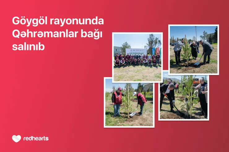 Göygöldə “Qəhrəmanlar bağı” aksiyası keçirilib