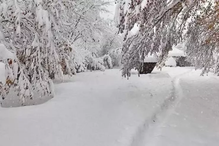 Hazırda bu rayonlara qar yağır - FAKTİKİ HAVA 