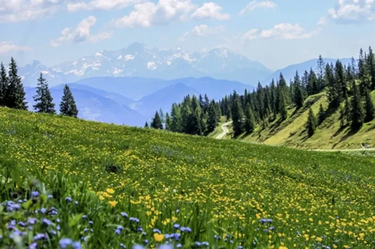 Sabah  əsl yaz havası  olacaq - PROQNOZ