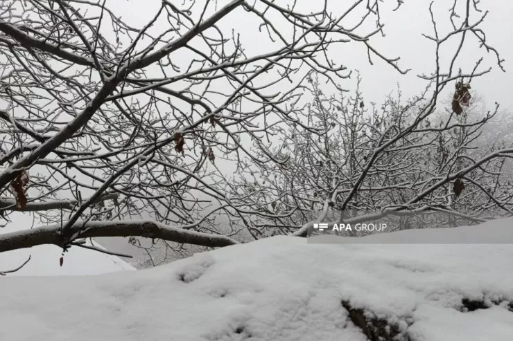 Bu rayonlara qar yağdı 