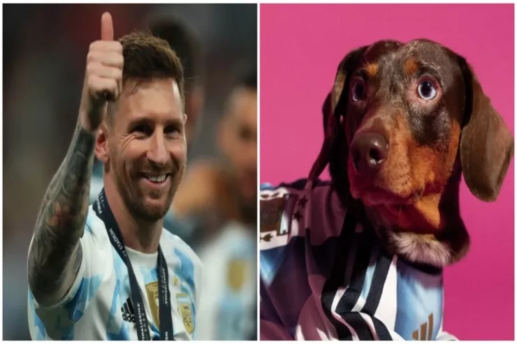 Adidas heyvanlar üçün milli komanda formasını  təqdim etdi -  FOTOLENT 