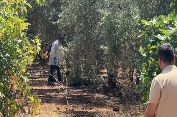 Gənc oğlanın əlləri arxadan bağlanmış meyiti tapıldı 