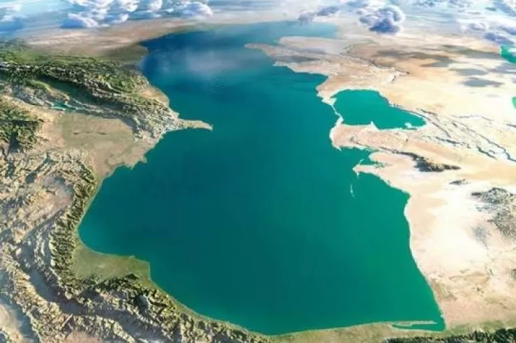 Xəzər dənizində unikal TAPINTI:  suyu təbii təmizləyir