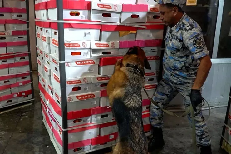 Azərbaycan gömrükçüləri İrandan Rusiyaya aparılan bibər içində narkotik  tapdı
