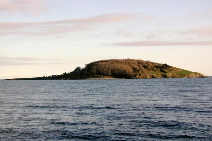 İki bacı 30 min dollara   ada alıb, 40 il yaşadılar 