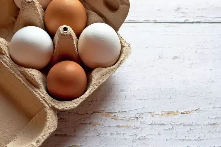 Hər gün yumurta yeməyin  təhlükəsi: alimlər nə tapdılar?