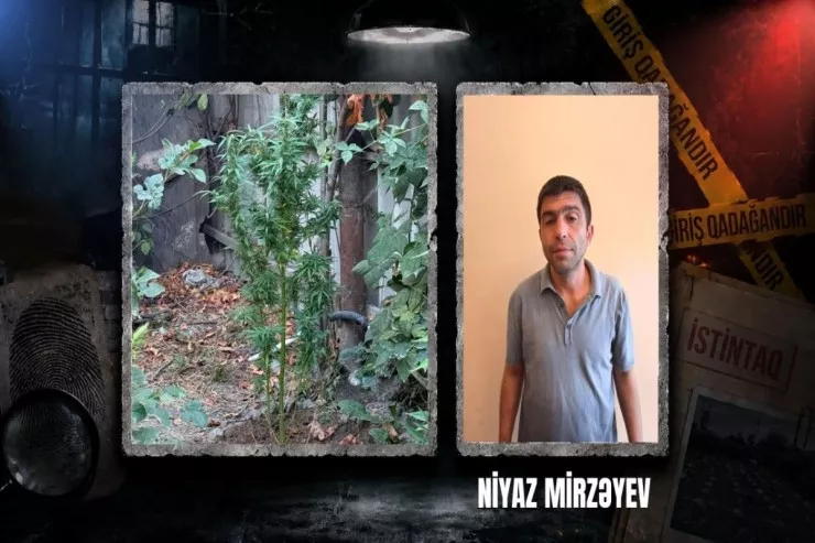 Göycayda əhali nar yetişdirir, bu narkotik - YAXALANDI 