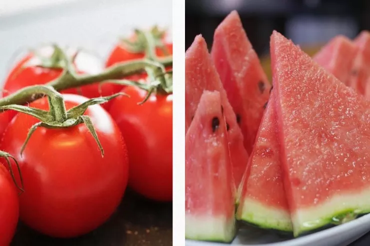 Pomidor, yoxsa qarpız? - Ürək üçün o faydalı imiş  