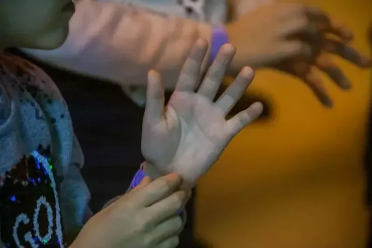 Ovucdakı xətlər  nə üçündür?