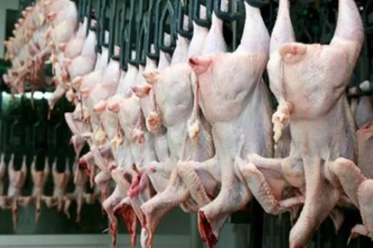 Türkiyədə toyuq məhsulları barədə qərar verildi
