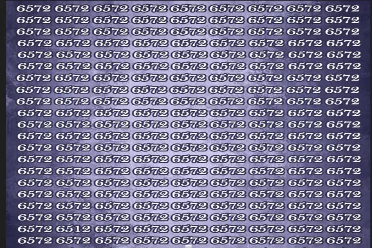 İnsanların yalnız 1 faizi 6512 rəqəmini   12 saniyədə tapa bilir: çox çətin TAPMACA 