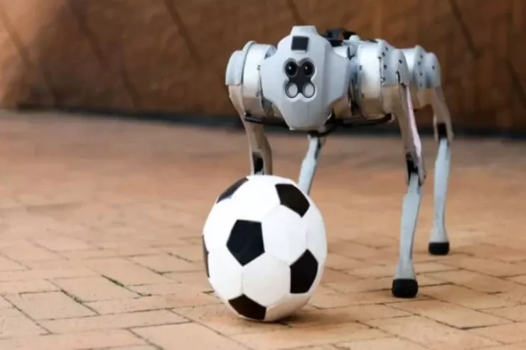 2026-cı il Dünya Kubokunda bir ilk - Robot itlərdən istifadə olunacaq 