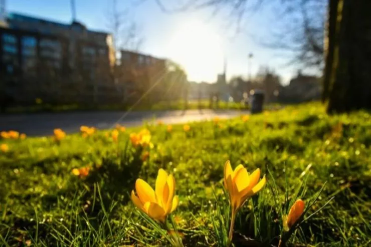 Builki fevral rekorda  yaxındır - Havalar niyə belə isti keçir? 