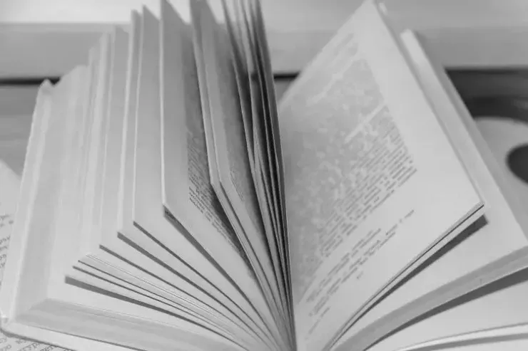 Dünyada ən zəngin dil  hansıdır? Bir milyondan çox söz var 